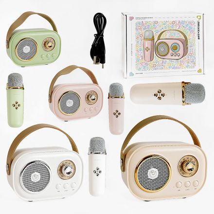 Караоке C 66373 (40) 4 види, bluetooth, мікрофон, підсвічування, від акумулятора/мережі, type-c, TF-картка