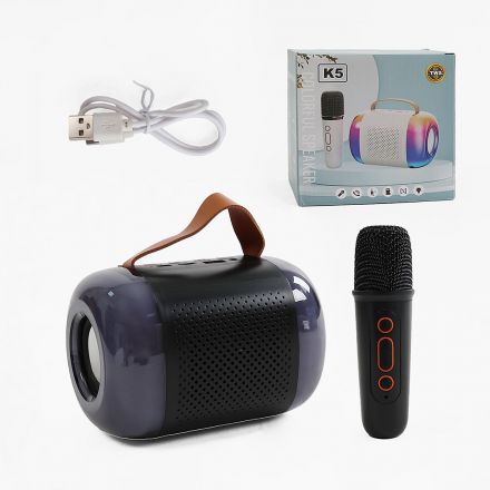 Караоке C 72105 (40) 1 мікрофон, підсвічування, слот для TF Card, bluetooth, USB-type-c кабель, AUX-роз’єм, колонка