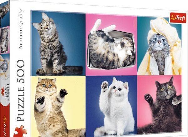 Пазлы ''Коты Trefl 37377